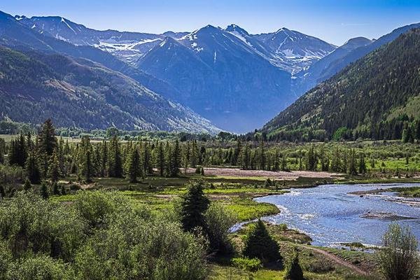 The Brokerage Real Estate