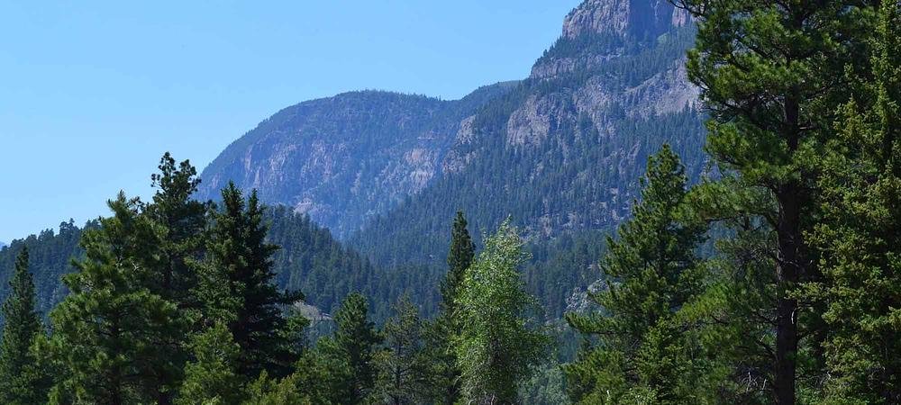 Year-Round RV Park Featuring 36 Sites & 4 Cabins